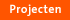 Projecten