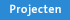 Projecten